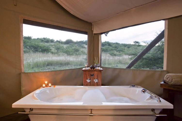 The Springbok Lodge