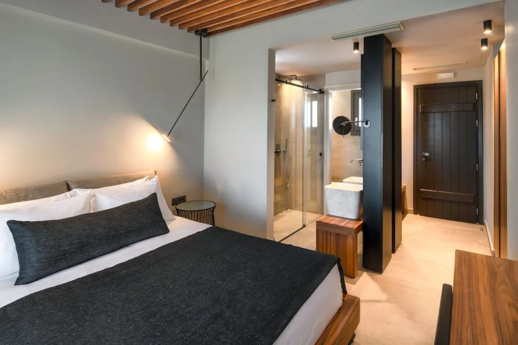 Superior Double room with balcony and with city view