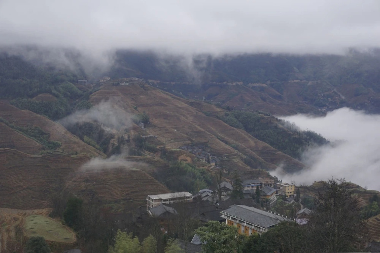 Longji Rice Terraces Hostel