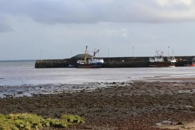 The Harbour Inn