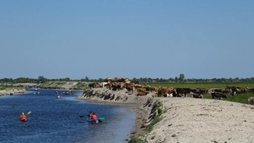 Experiente in Delta Dunarii