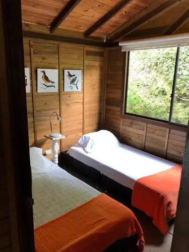 Cabañas Truchas Cocora
