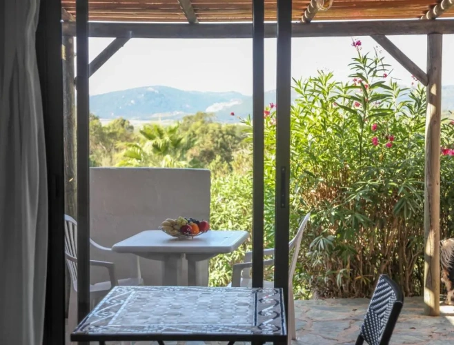 Standard Double room with park view