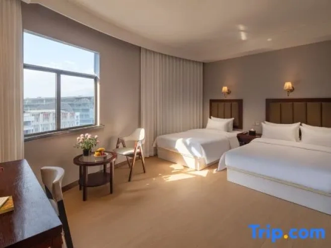 1 Bedroom Standard room