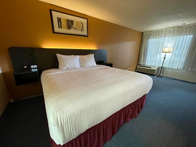 1 Bedroom Double Suite