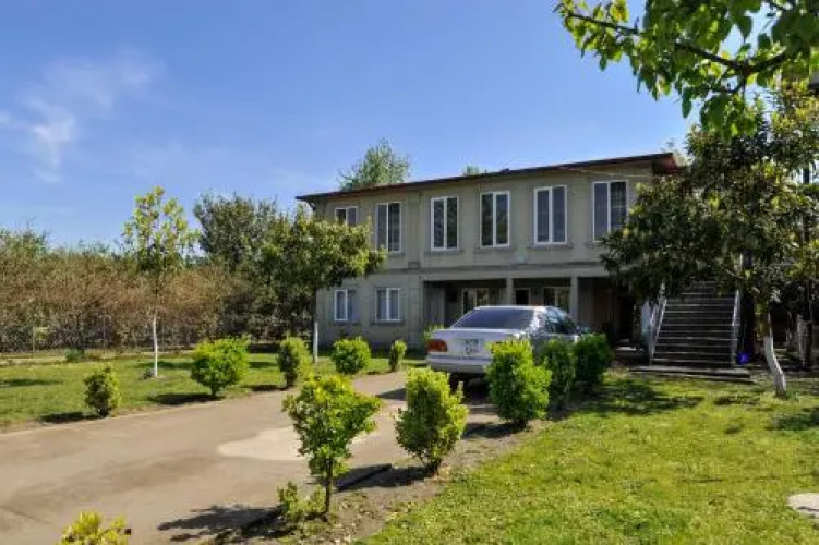Alik House