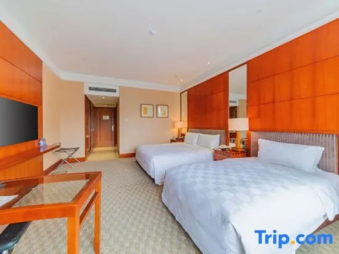 Deluxe Double room with mountain view