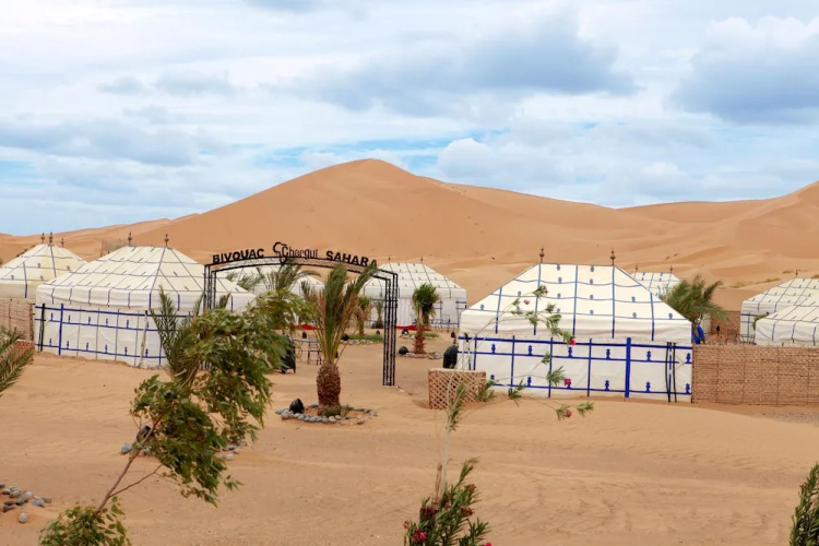 Bivouac Chergui Sahara