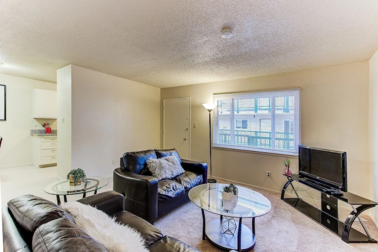 Cosy Berkeley Apartments Close to UC Berkeley 208d