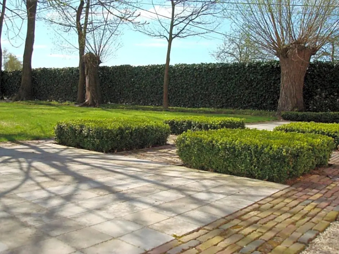 BB Hooglandhoeve