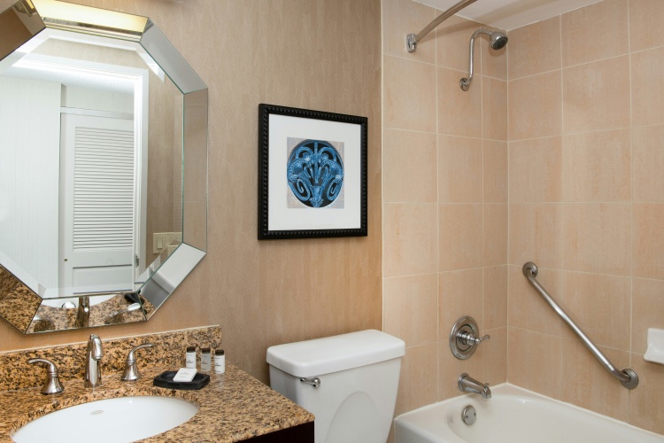 Sheraton Mission Valley San Diego Hotel photo 11