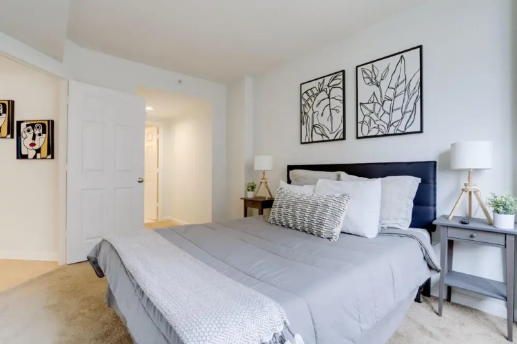 Amazing 1 Bedroom Condo Ballston