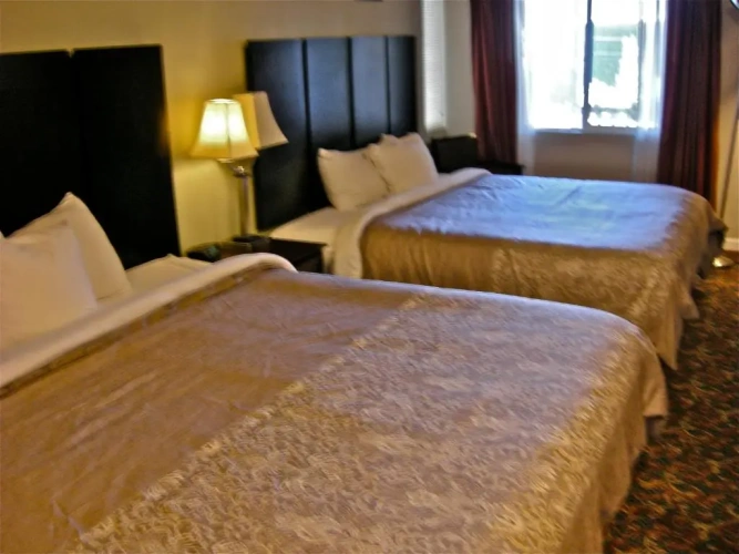 Deluxe Double Suite