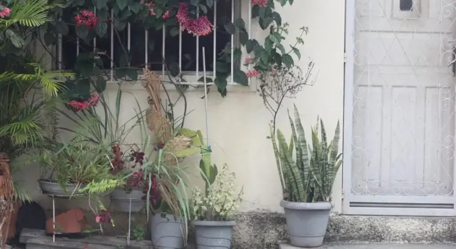 Home in Rio