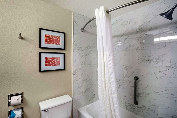1 Bedroom Double Suite