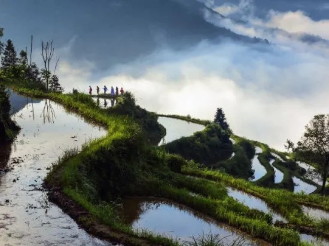 Jiangling Scenery Inn