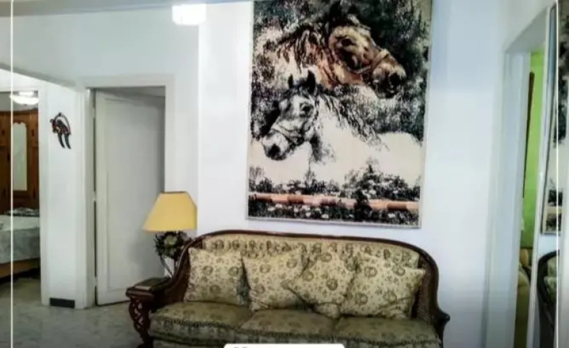 Alex apartment