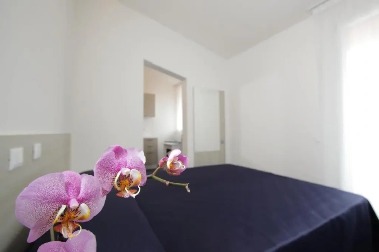 2 Bedrooms Double Apartment