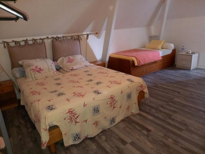 Standard Double room with garden view