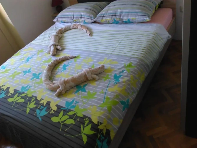 1 Bedroom Apartment with balcony and with garden view