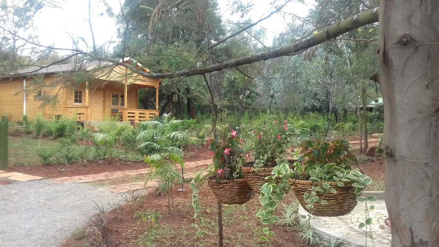 Severine Cottages And Lounge