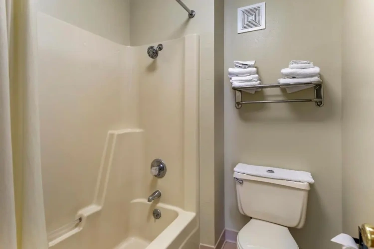 Single Suite