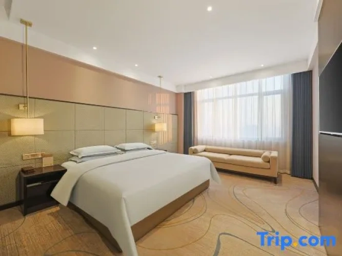 Executive Suite with city view