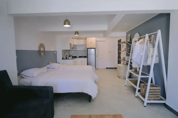 Deluxe Double Basement Studio with garden view