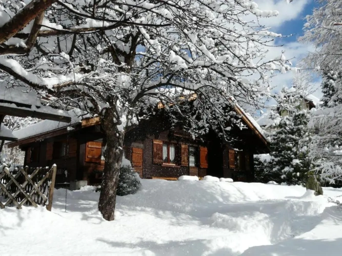 Double Chalet