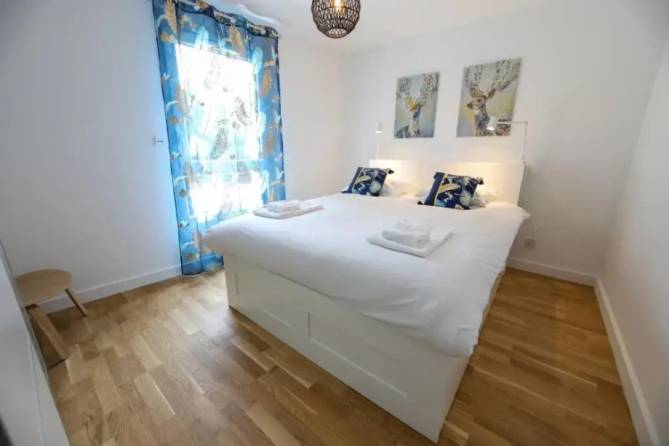 1 Bedroom Apartment