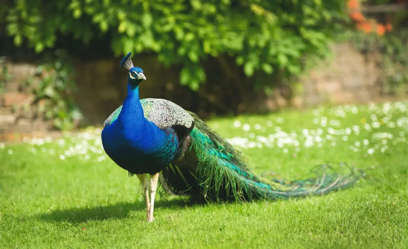 Crafted at Powdermills