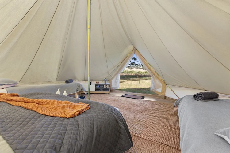 Forrest Holiday Park