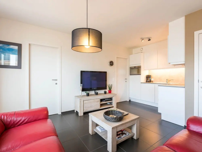 Apartment in Belgium With Sea View