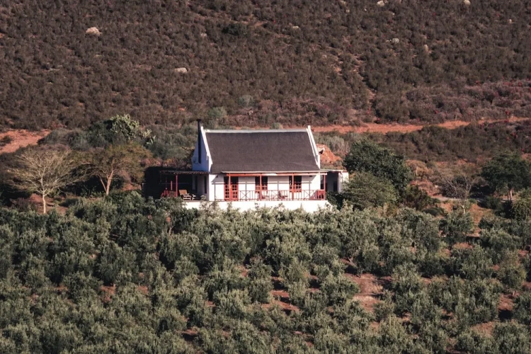 1 Bedroom Cottage with mountain view