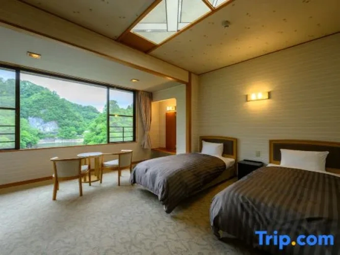 Standard room with view