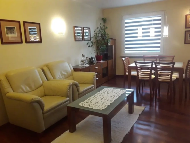Luxury Apartment