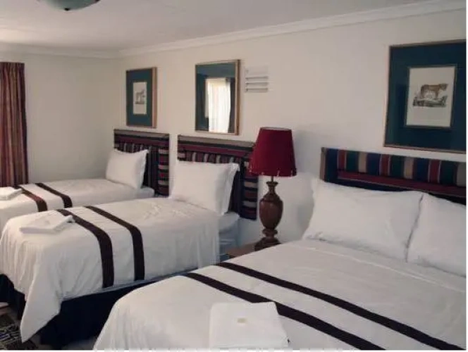 Standard Quadruple Duplex room