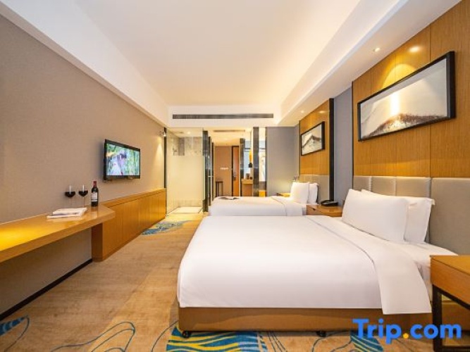Standard Double room with city view