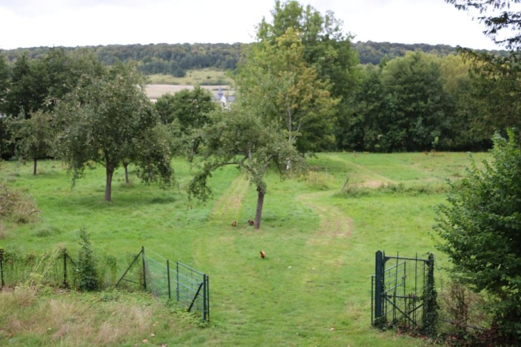 Standard Twin room with garden view