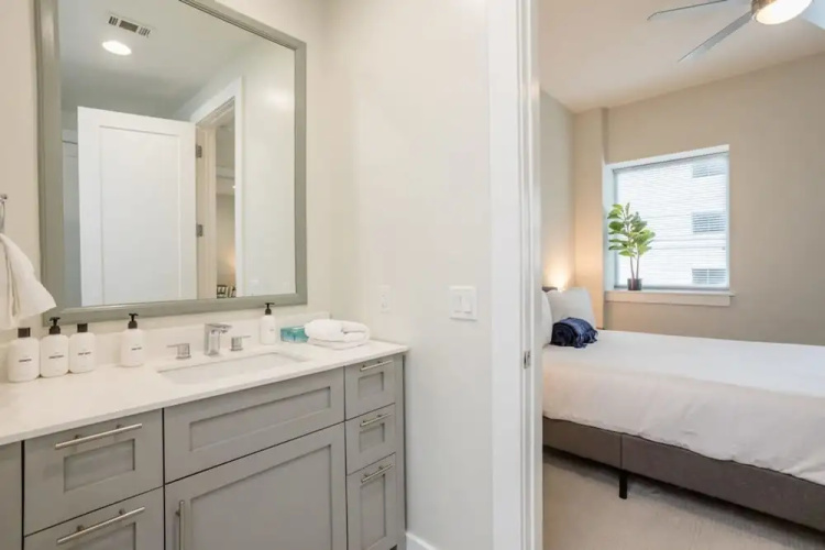 Constellations Elegant 1 BR in Downtown Houston