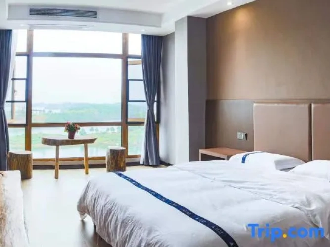 Standard Double room with lake view