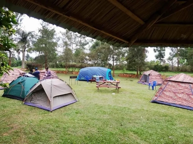 Tent