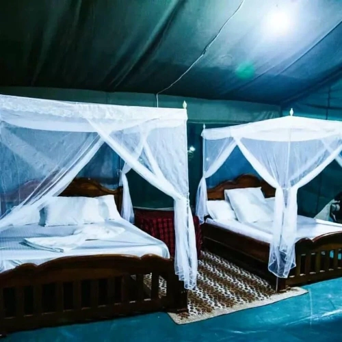 Tent