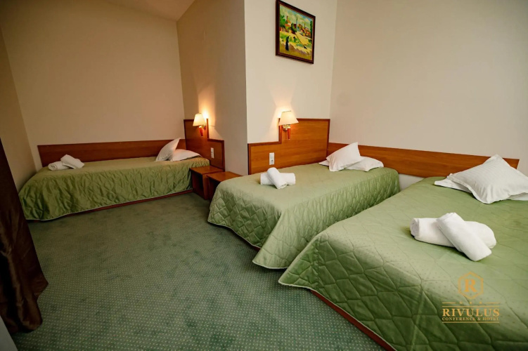 Hotel Rivulus