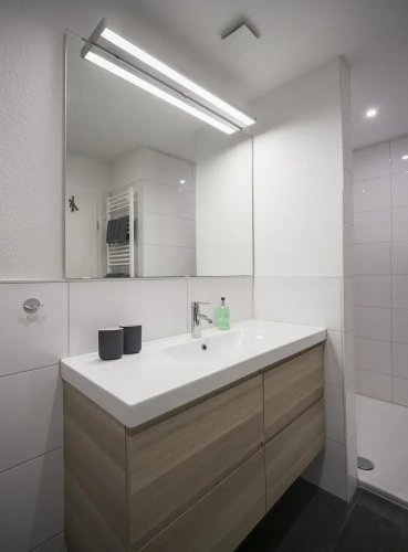 Deluxe Apartment with lake view