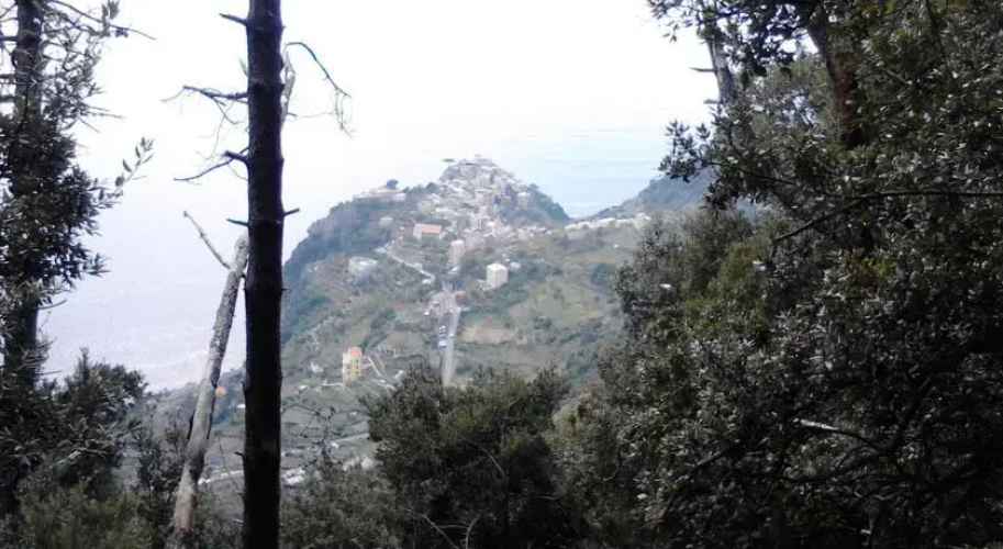 L' Arco