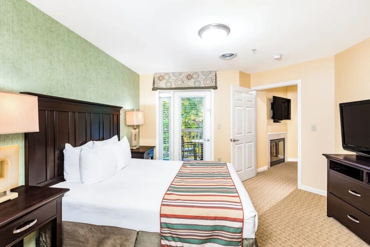 1 Bedroom Premier Suite with view