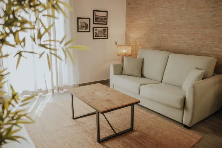 Deluxe Apartment with city view