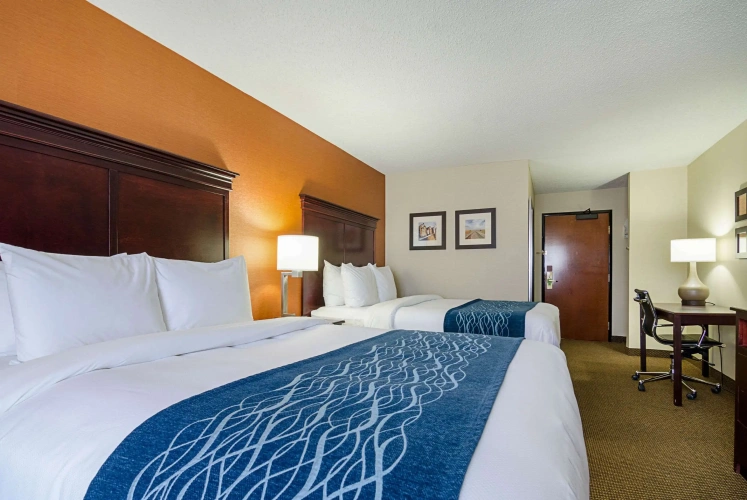 Standard Quadruple room