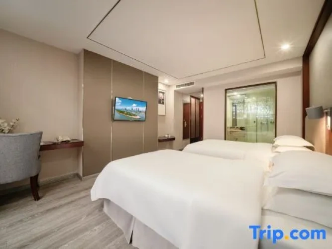 Standard Double Family room